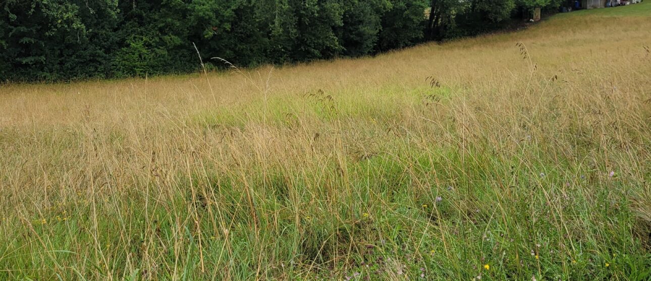 Terrain constructible Périgueux (Dordogne 24)