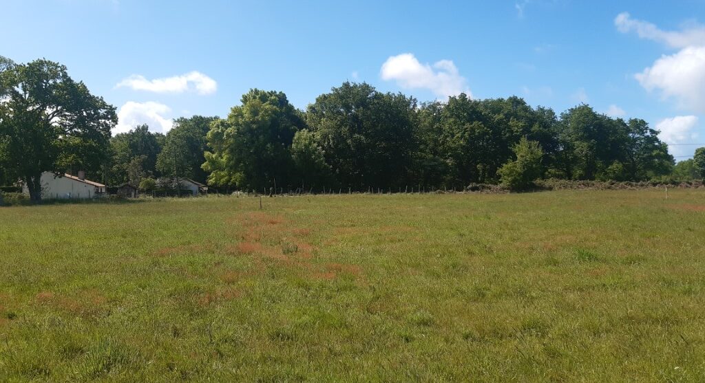 Terrain constructible Saint-selve  (Gironde 33)