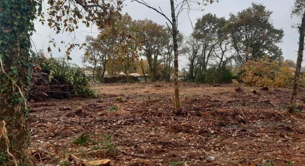 Terrain constructible Castelnau-de-médoc  (Gironde 33)