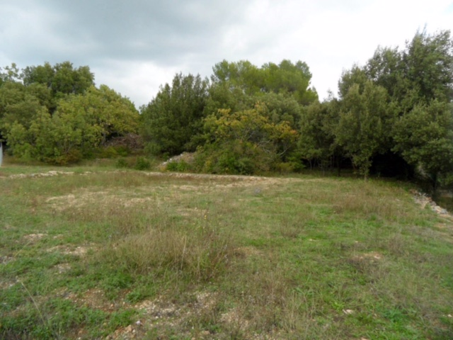 Terrain constructible Cissac-médoc  (Gironde 33)