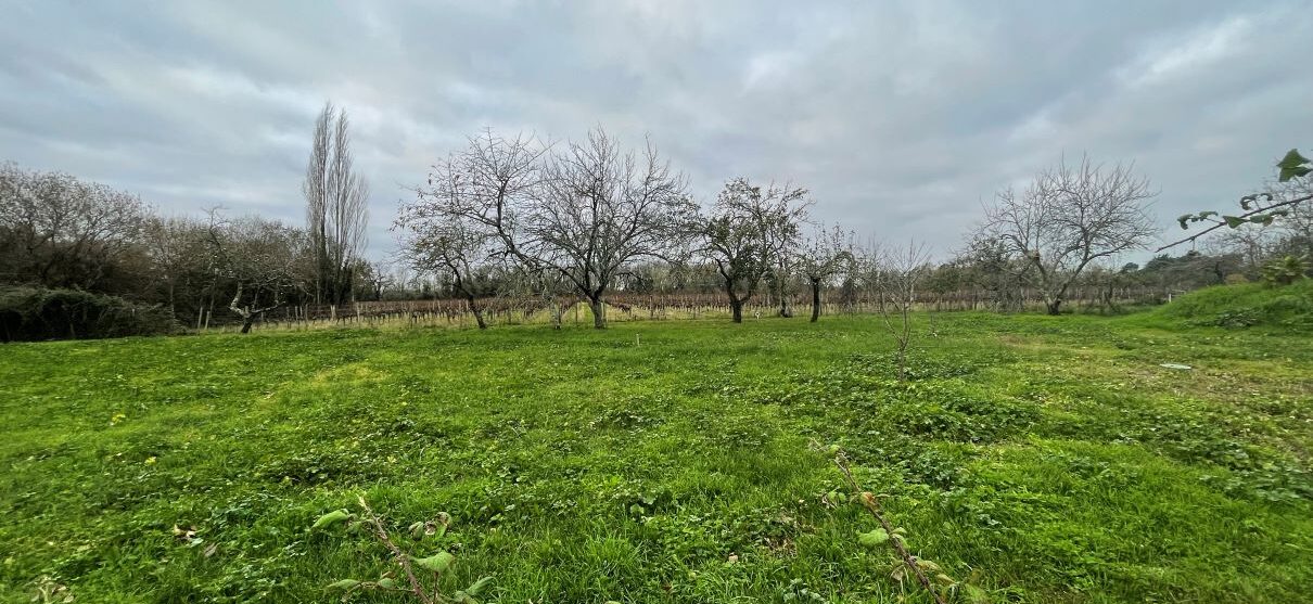 Terrain constructible Saint-sauveur  (Gironde 33)