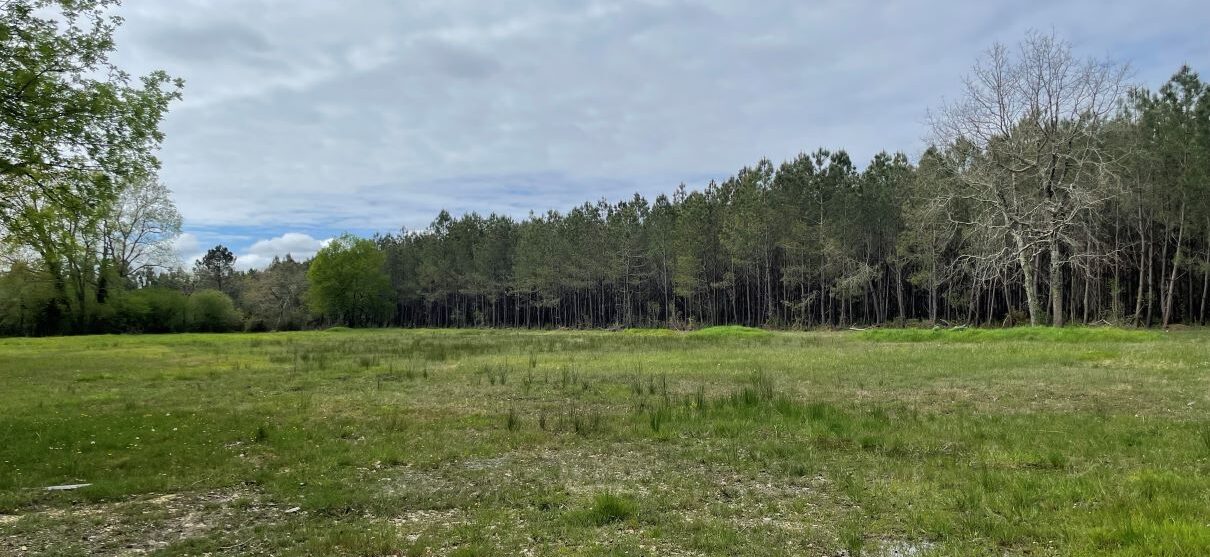 Terrain constructible Saint-vivien-de-médoc  (Gironde 33)