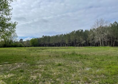 Terrain Queyrac  (Gironde 33)