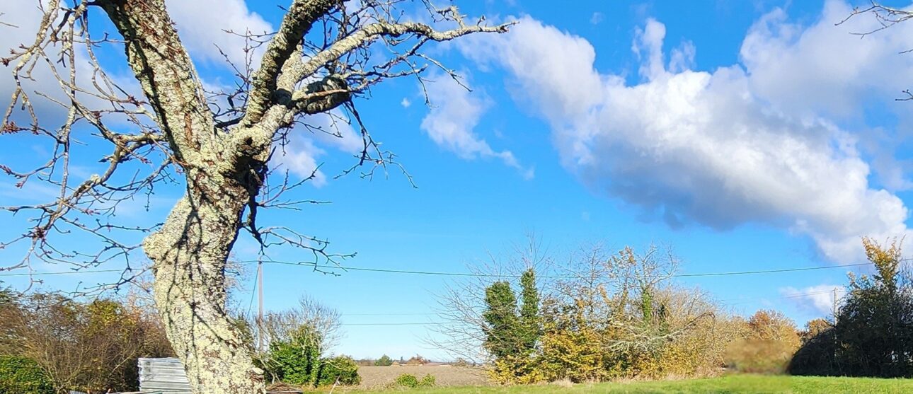 Terrain constructible Ribérac  (Dordogne 24)