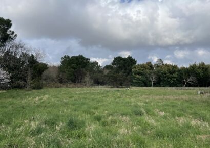 Terrain Queyrac  (Gironde 33)