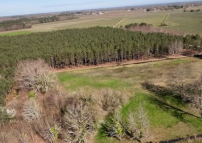 Terrain Saint-savin  (Gironde 33)